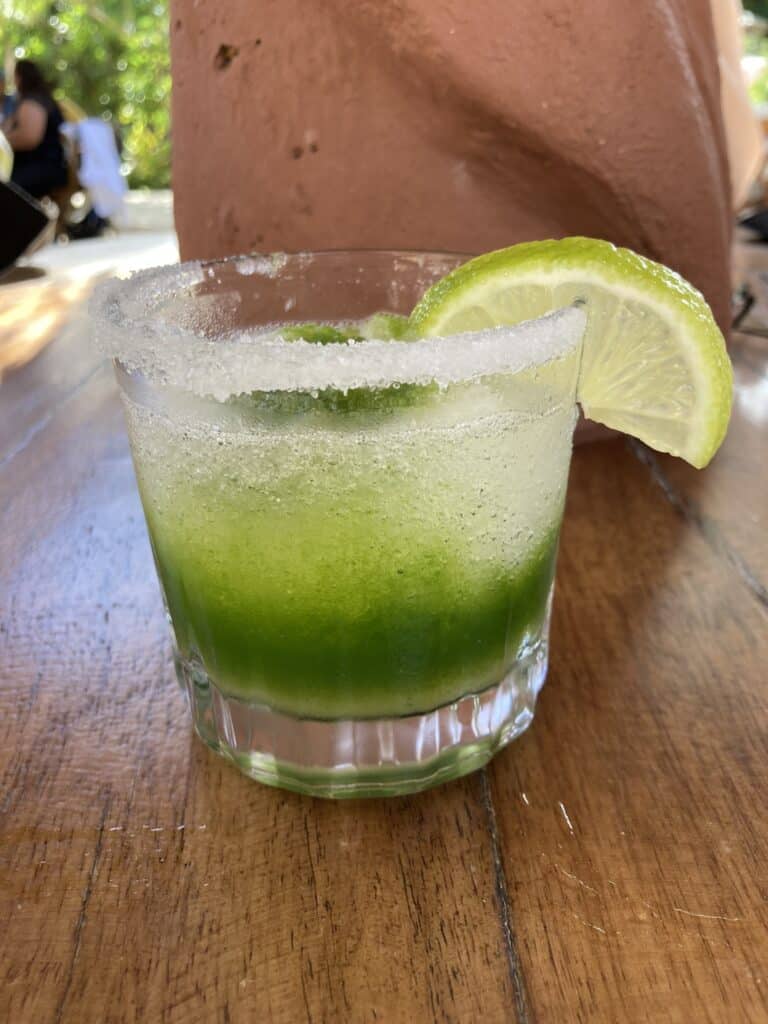 Chaya margarita