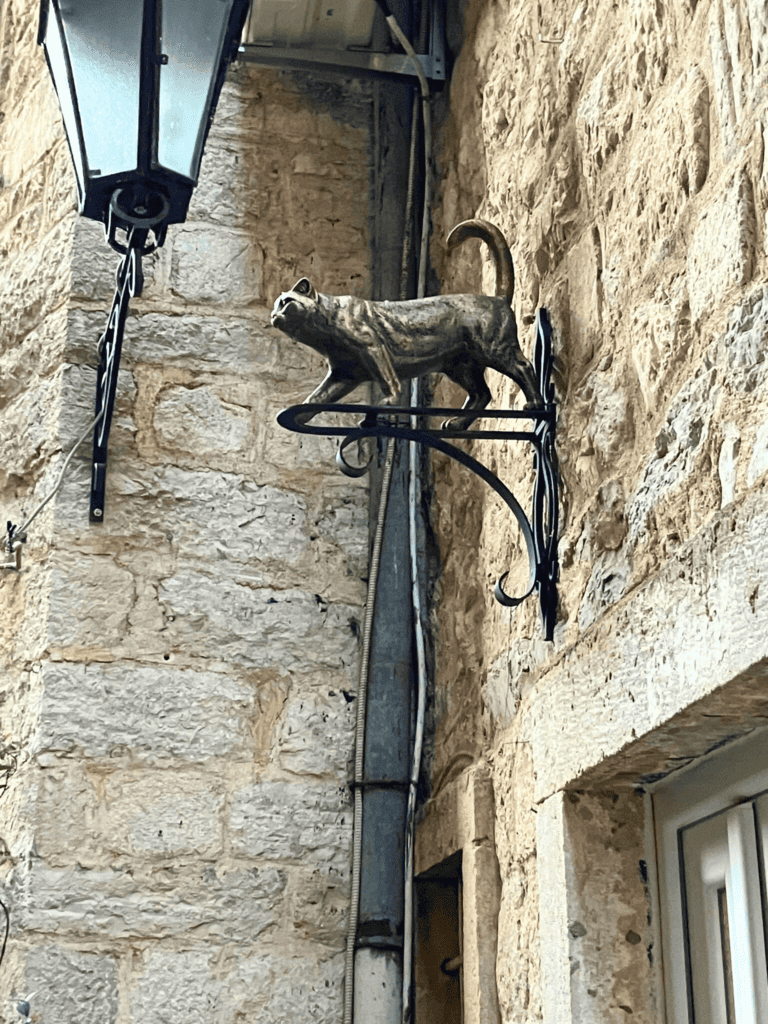 Statue of a cat in Kotor, Montenegro