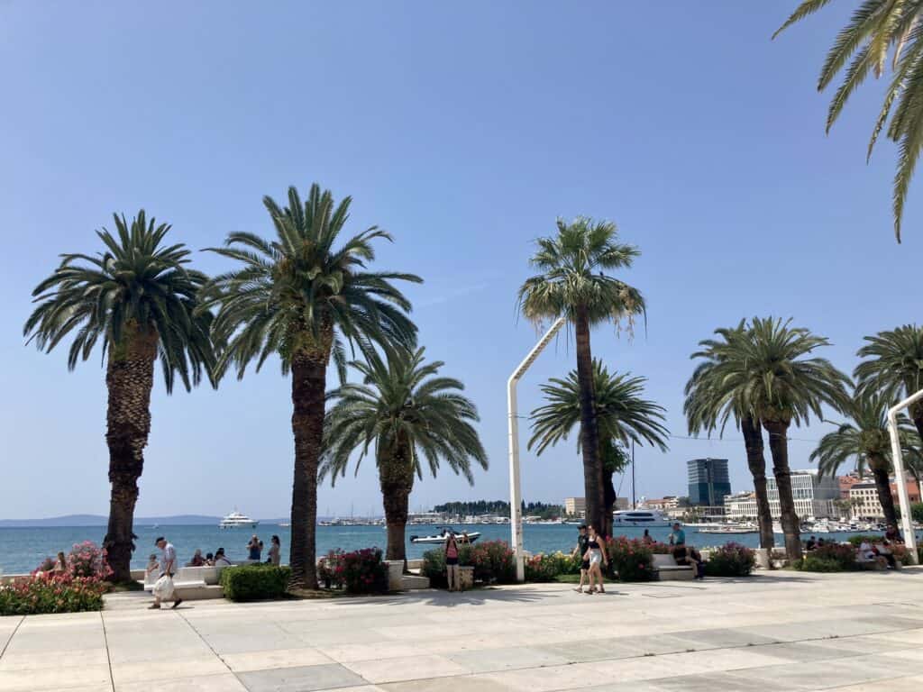 Palm trees in front of water on the Riva Promenade in Split, Croatia